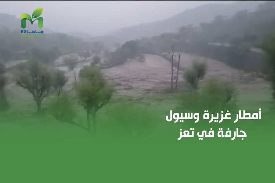 أمطار غزيرة وسيول جارفة في تعز 